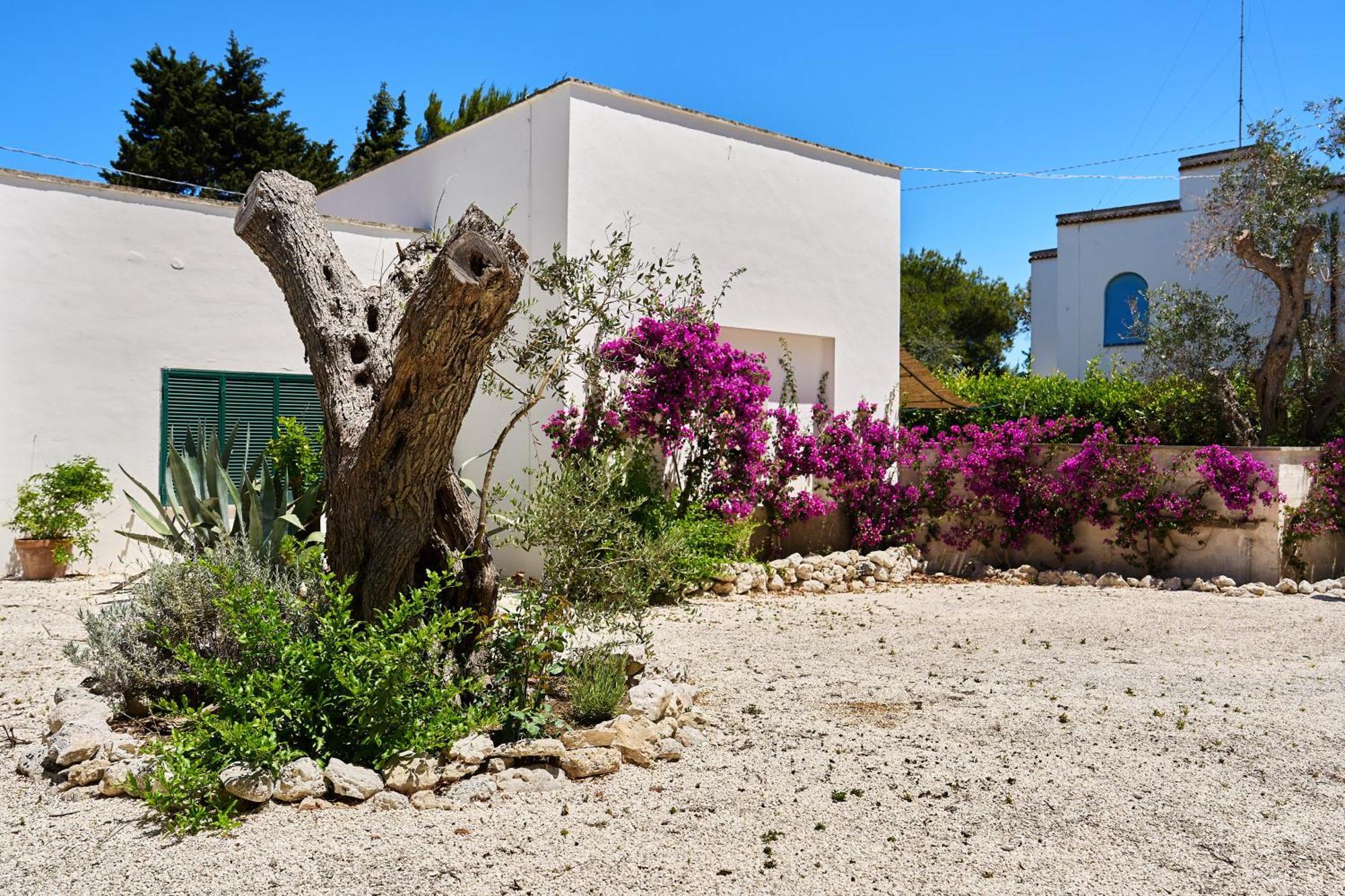 Apartahotel Tenuta Belvedere