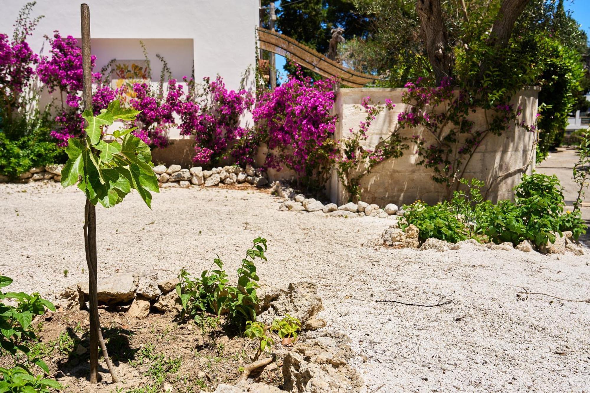 Tenuta Belvedere Otranto