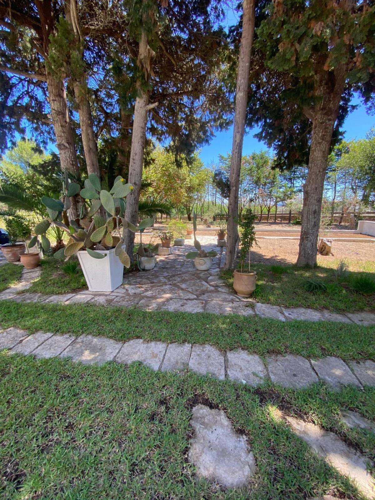 Tenuta Belvedere