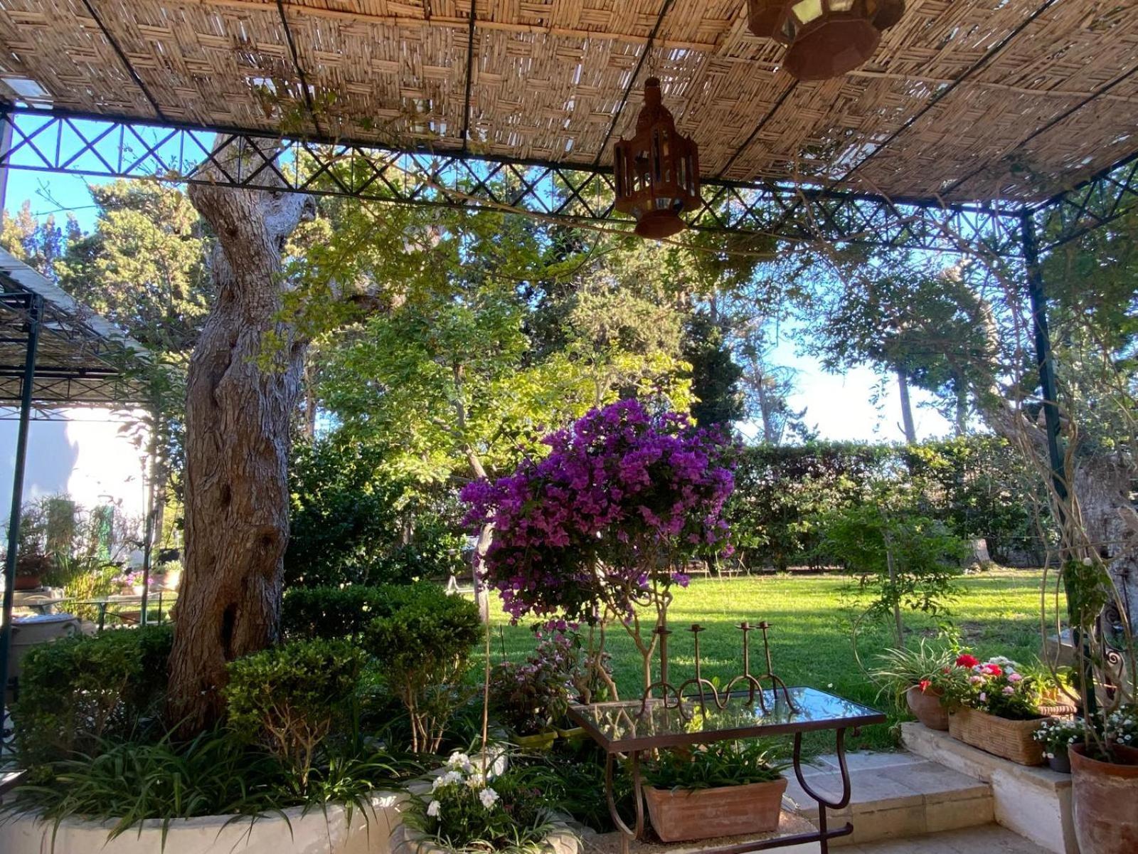 Tenuta Belvedere Otranto