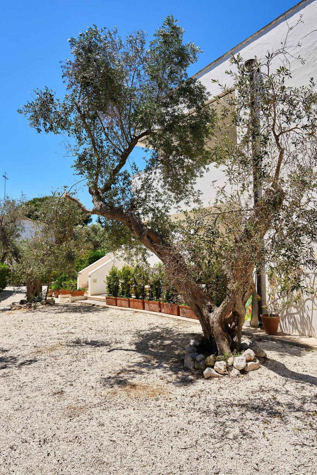 Tenuta Belvedere 2* Otranto